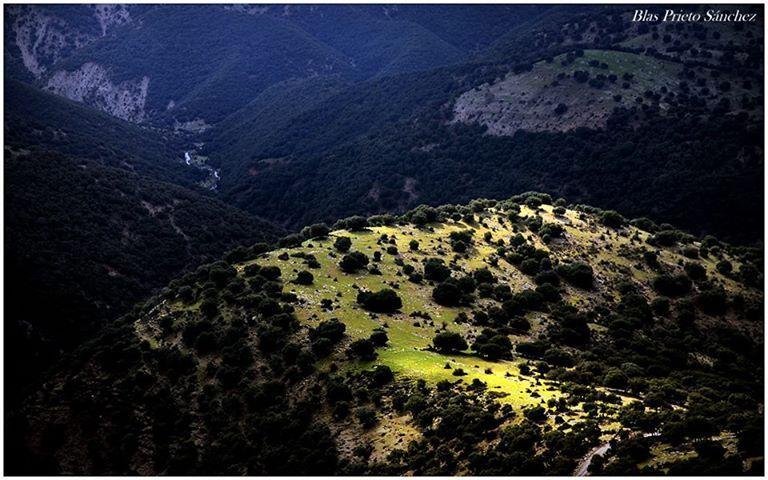 Apartamentos Turisticos Rurales Monte De Las Animas Valdepenas de Jaen Kültér fotó