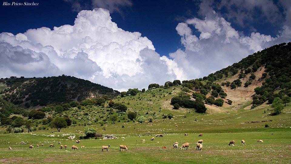 Apartamentos Turisticos Rurales Monte De Las Animas Valdepenas de Jaen Kültér fotó