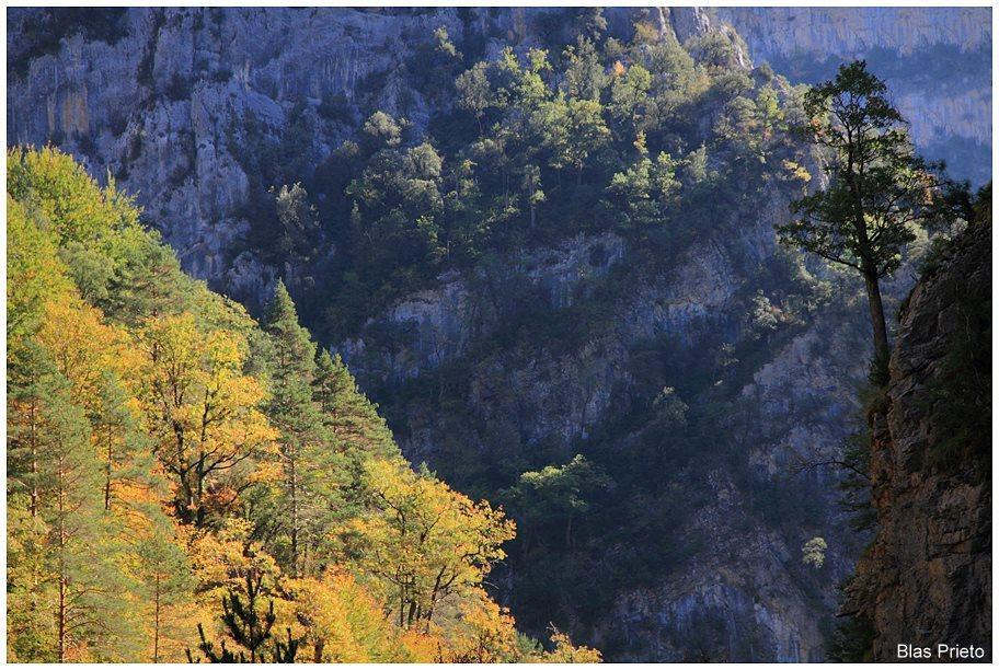 Apartamentos Turisticos Rurales Monte De Las Animas Valdepenas de Jaen Kültér fotó