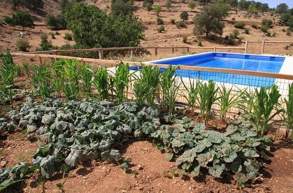Apartamentos Turisticos Rurales Monte De Las Animas Valdepenas de Jaen Kültér fotó